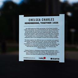 Public Art Installation